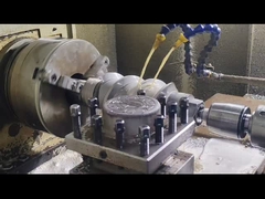 Berstoff Twin Screw Extruder Screw Segemets and Barrel